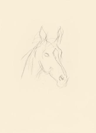 Alfred Wickenburg, Pferdekopf, 1939/1944, Graphit auf Papier, Blattmaße: 29,5 × 21 cm, Leihgabe ...