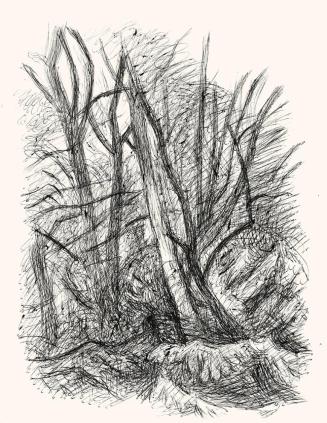 Alfred Wickenburg, Bäume, um 1960, Schwarzer Kugelschreiber auf Papier, Blattmaße: 32,2 × 25,4  ...