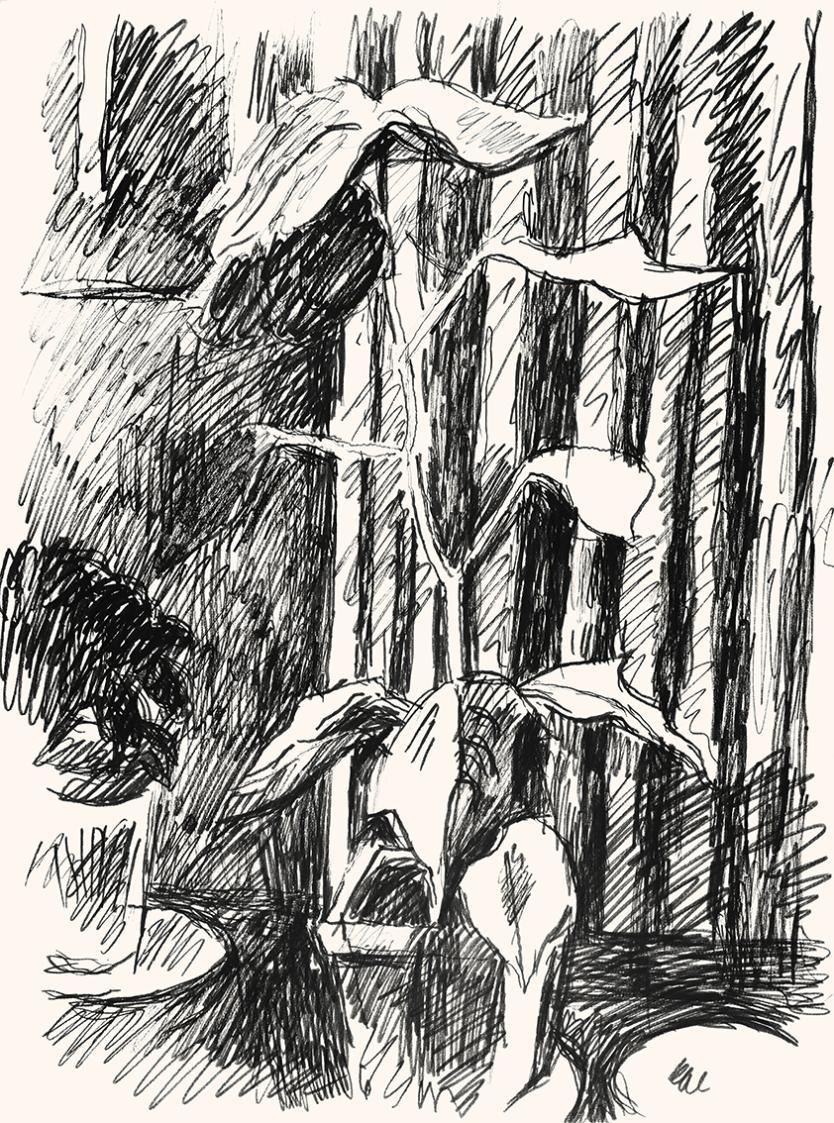 Alfred Wickenburg, Topfpflanze, um 1970, Schwarzer Filzstift auf Papier, Blattmaße: 50,7 × 37,8 ...