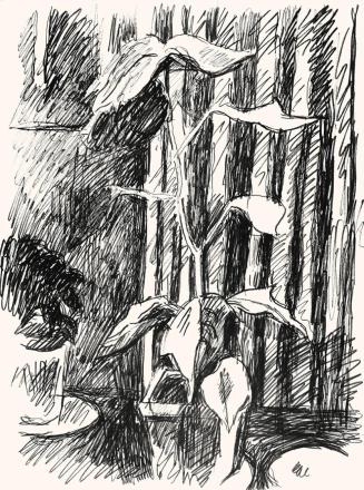 Alfred Wickenburg, Topfpflanze, um 1970, Schwarzer Filzstift auf Papier, Blattmaße: 50,7 × 37,8 ...