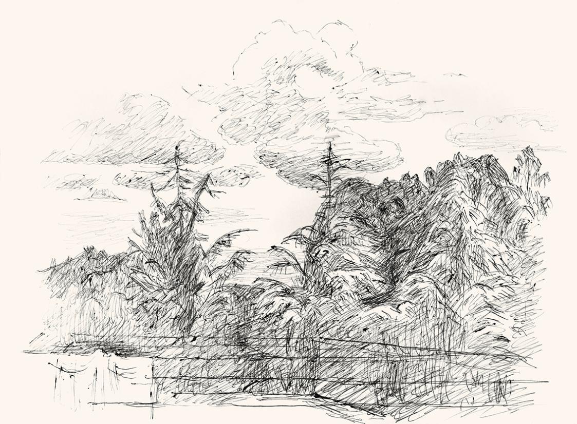 Alfred Wickenburg, Blick auf eine Waldlandschaft, um 1960, Schwarzer Kugelschreiber auf Papier, ...