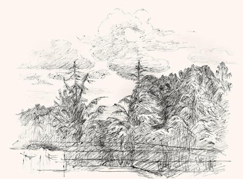 Alfred Wickenburg, Blick auf eine Waldlandschaft, um 1960, Schwarzer Kugelschreiber auf Papier, ...