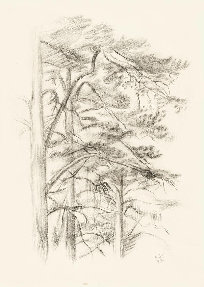 Alfred Wickenburg, Baumgruppe, 1947, Kohle auf Papier, Blattmaße: 47 × 35 cm, LENTOS Kunstmuseu ...