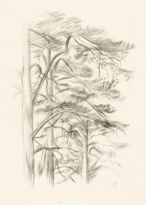 Alfred Wickenburg, Baumgruppe, 1947, Kohle auf Papier, Blattmaße: 47 × 35 cm, LENTOS Kunstmuseu ...