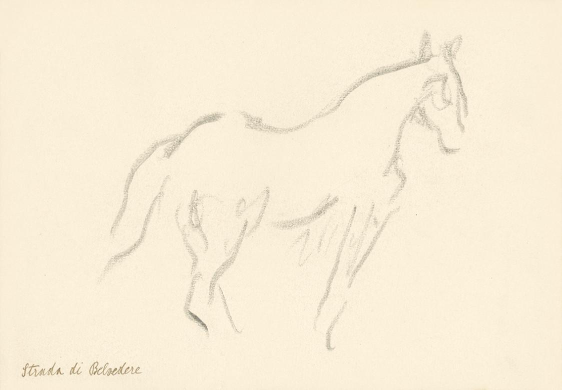Alfred Wickenburg, Pferd, 1920/1923, Graphit auf Papier, Blattmaße: 17,5 × 25,1 cm, Privatbesit ...