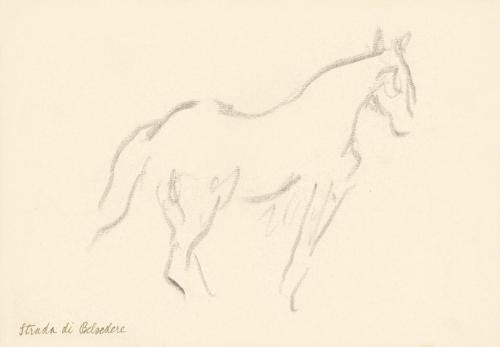 Alfred Wickenburg, Pferd, 1920/1923, Graphit auf Papier, Blattmaße: 17,5 × 25,1 cm, Privatbesit ...
