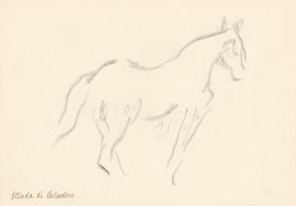 Alfred Wickenburg, Pferd, 1920/1923, Graphit auf Papier, Blattmaße: 17,5 × 25,1 cm, Privatbesit ...