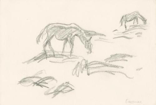 Alfred Wickenburg, Zwei weidende Tiere, Piacenza, 1920/1923, Graphit auf Papier, Blattmaße: 19  ...