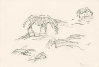 Alfred Wickenburg, Zwei weidende Tiere, Piacenza, 1920/1923, Graphit auf Papier, Blattmaße: 19  ...