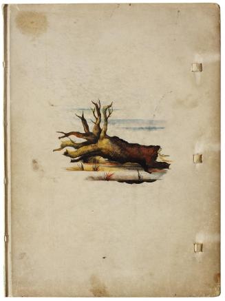 Otto Rudolf Schatz, Josef Luitpold: Der entwurzelte Baum, 1926, Aquarelliertes Halbpergament De ...