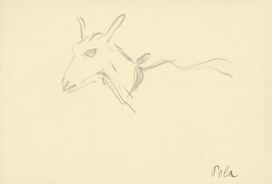 Alfred Wickenburg, Ziege, Pola, 1920/1923, Graphit auf Papier, Blattmaße: 15,2 × 22 cm, Privatb ...