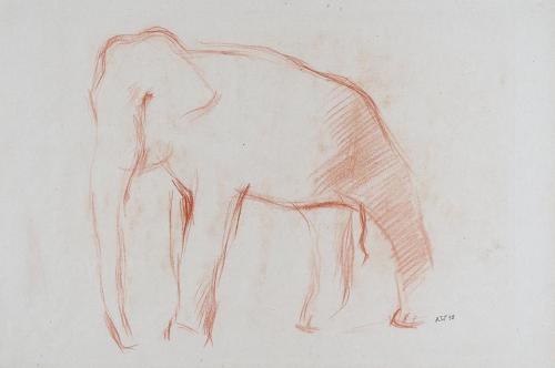 Alfred Wickenburg, Elefant, 1938, Rötel auf Papier, Blattmaße: 28,9 × 43,6 cm, Neue Galerie Gra ...