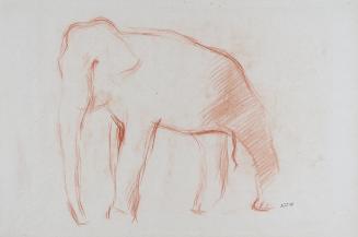 Alfred Wickenburg, Elefant, 1938, Rötel auf Papier, Blattmaße: 28,9 × 43,6 cm, Neue Galerie Gra ...
