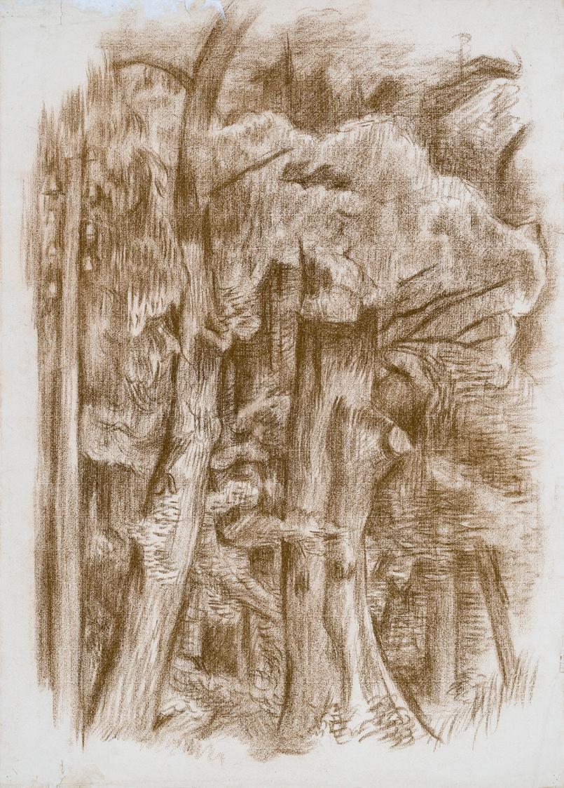 Alfred Wickenburg, Waldbäume und Telegrafenmast, 1938/1940, Braune Kreide auf Papier, Blattmaße ...