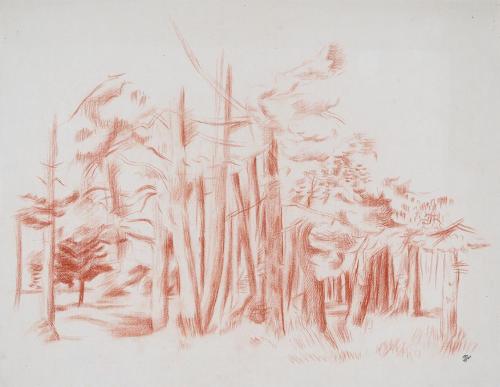 Alfred Wickenburg, Wald, 1944, Rötel auf Papier, Blattmaße: 43,4 × 55,8 cm, Neue Galerie Graz,  ...