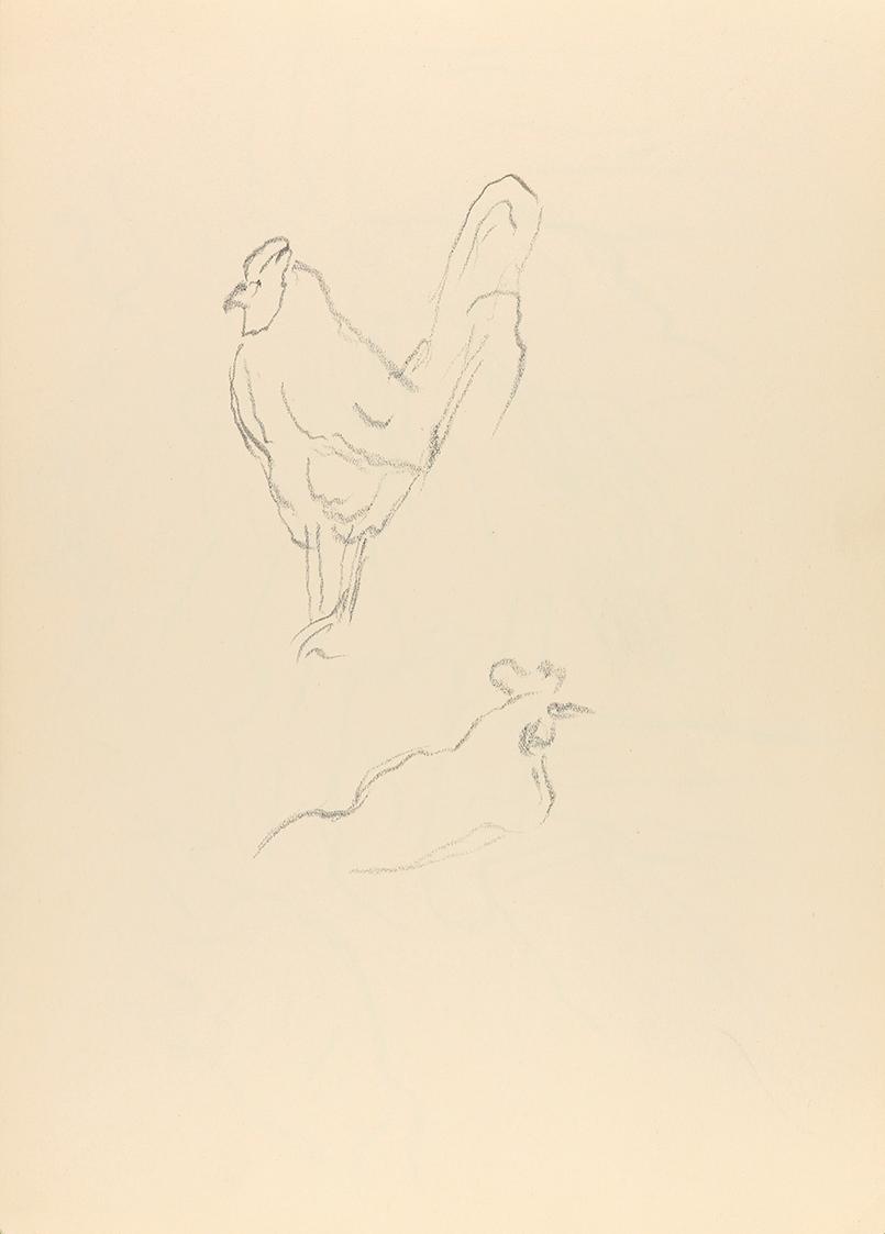 Alfred Wickenburg, Studien zu einem Huhn, um 1950, Graphit auf Papier, Blattmaße: 29,5 × 21 cm, ...