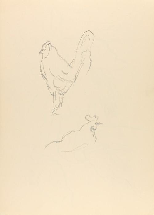 Alfred Wickenburg, Studien zu einem Huhn, um 1950, Graphit auf Papier, Blattmaße: 29,5 × 21 cm, ...