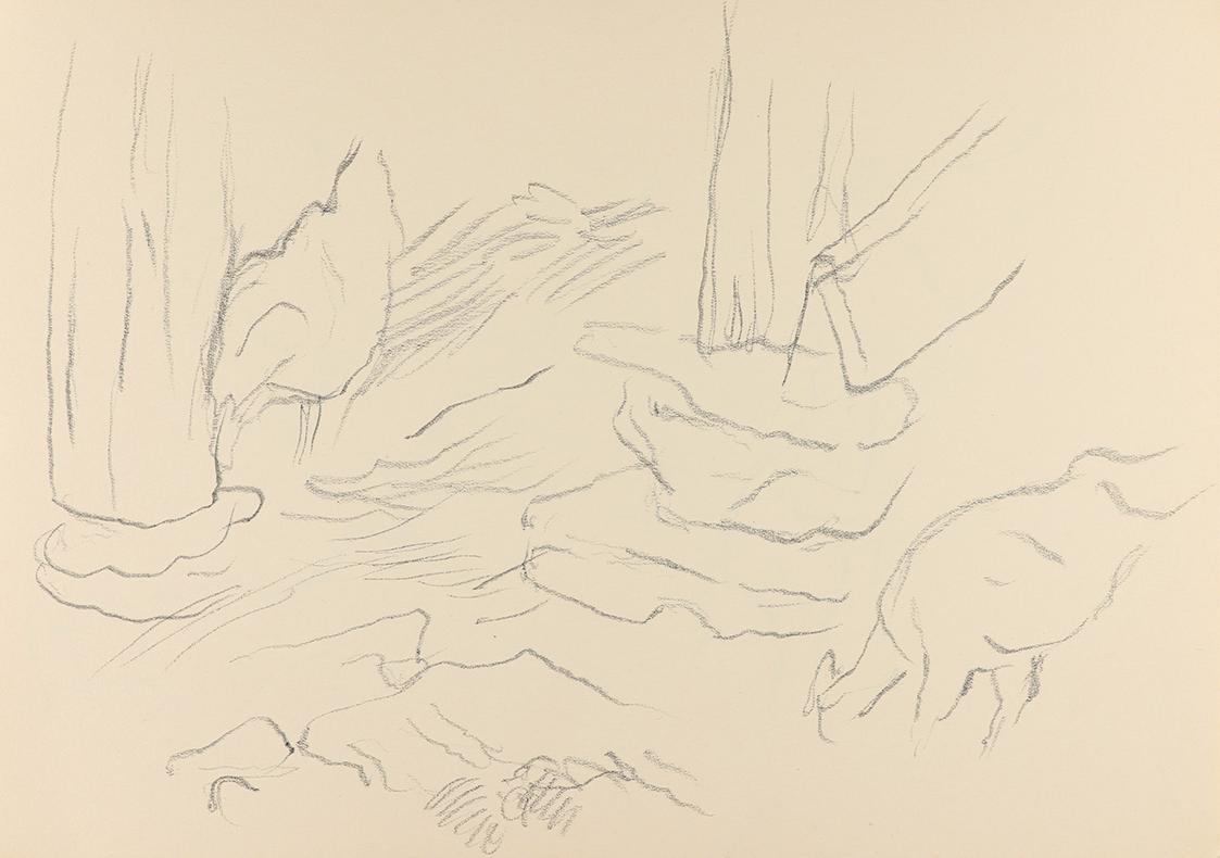 Alfred Wickenburg, Hühner, um 1950, Graphit auf Papier, Blattmaße: 21 × 29,5 cm, Privatbesitz
