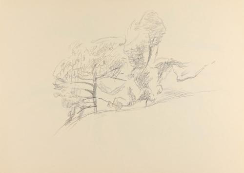 Alfred Wickenburg, Bäume, um 1950, Bleistift auf Papier, Blattmaße: 21 × 29,5 cm, Privatbesitz