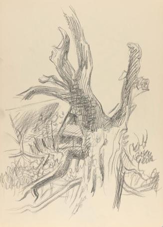 Alfred Wickenburg, Studie eines Baumstamms, um 1950, Graphit auf Papier, Blattmaße: 29,5 × 21 c ...