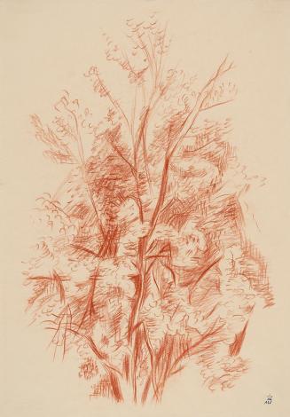 Alfred Wickenburg, Baumstudie, 1946, Rötel auf Papier, Neue Galerie Graz, Universalmuseum Joann ...