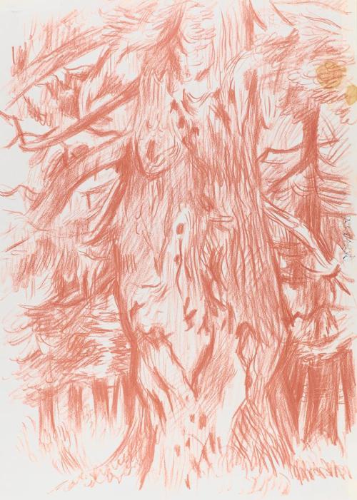 Alfred Wickenburg, Baumstamm in einem Wald, um 1942, Rötel auf Papier, Blattmaße: 41,6 × 30,2 c ...