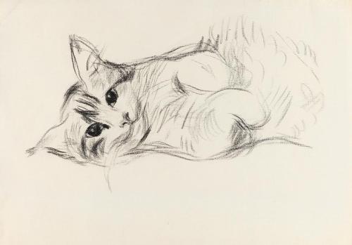 Alfred Wickenburg, Katze, um 1935, Kohle auf Papier, Blattmaße: 22,1 × 31,4 cm, Privatbesitz