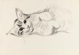 Alfred Wickenburg, Katze, um 1935, Kohle auf Papier, Blattmaße: 22,1 × 31,4 cm, Privatbesitz