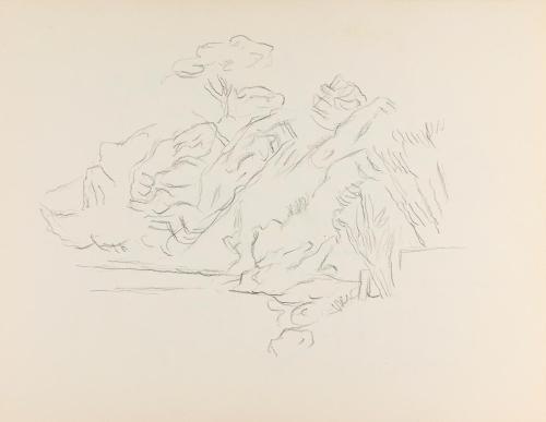 Alfred Wickenburg, Felsen und Pflanzen, um 1961, Bleistift auf Papier, Blattmaße: 24 × 30,5 cm, ...