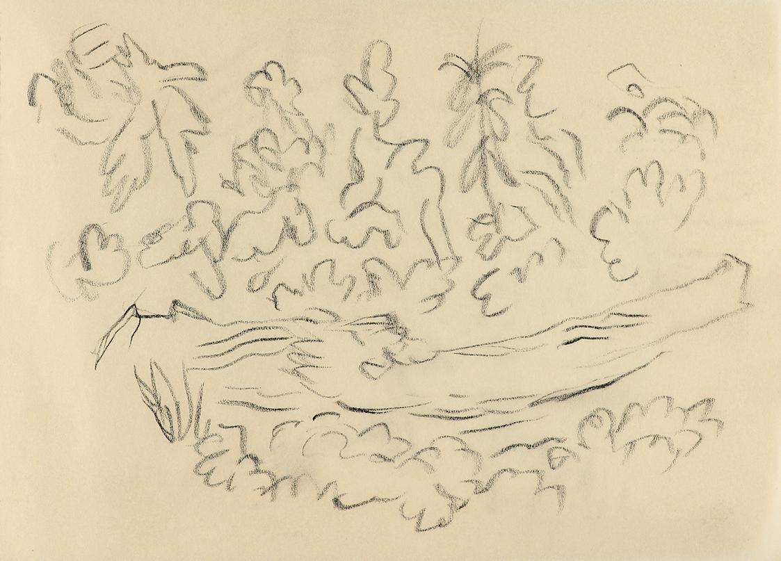 Alfred Wickenburg, Baumstamm in einer Landschaft, um 1960, Kohle auf Papier, Blattmaße: 14,8 ×  ...