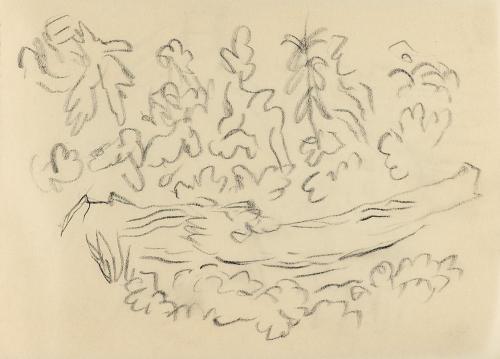 Alfred Wickenburg, Baumstamm in einer Landschaft, um 1960, Kohle auf Papier, Blattmaße: 14,8 ×  ...