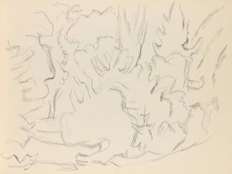 Alfred Wickenburg, Baumstudien, um 1945, Graphit auf Papier, Blattmaße: 21 × 28,5 cm, Privatbes ...