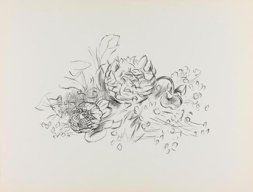 Alfred Wickenburg, Blüten und Blätter, um 1950, Kohle auf Papier, Blattmaße: 24,1 × 32 cm, Priv ...