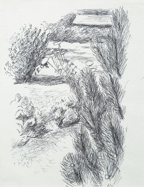 Alfred Wickenburg, Pflanzen in eine Landschaft, um 1960, Tintenstift auf Papier, Privatbesitz