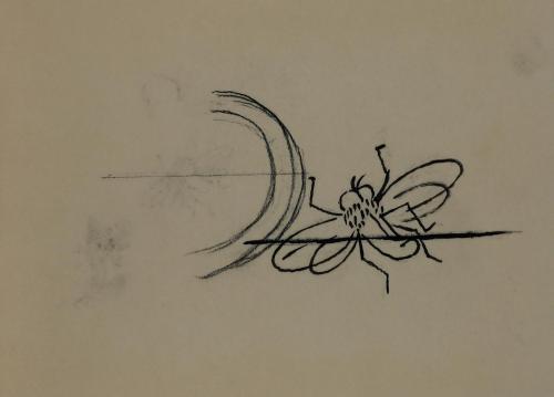 Alfred Wickenburg, Fliege, 1952, Tusche über Kohle auf Transparentpapier, Blattmaße: 14,2 × 19, ...