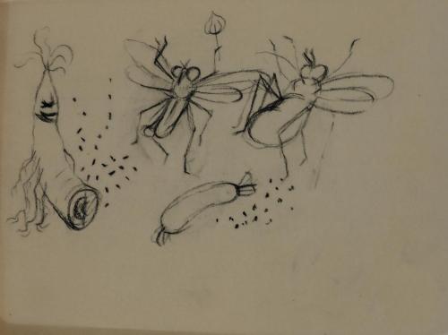Alfred Wickenburg, Tanzende Fliegen und Gemüse, 1952, Kohle auf Transparentpapier, Blattmaße: 1 ...