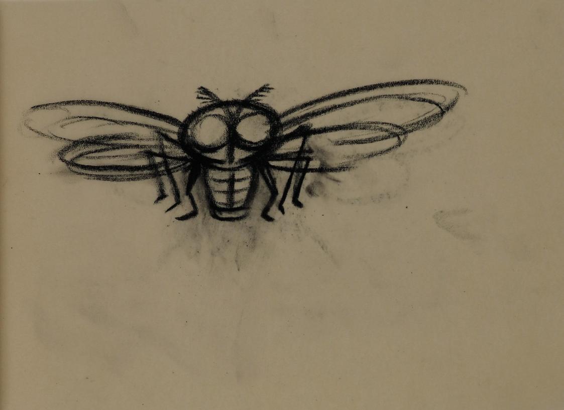 Alfred Wickenburg, Fliege, 1952, Kohle auf Transparentpapier, Blattmaße: 14,2 × 19,2 cm, Leihga ...