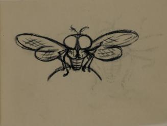 Alfred Wickenburg, Fliege, 1952, Kohle auf Transparentpapier, Blattmaße: 14,2 × 19,2 cm, Leihga ...