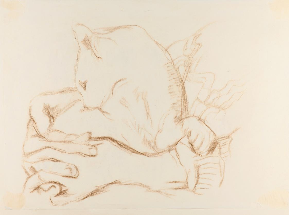 Alfred Wickenburg, Katze, 1933/1934, Braune Kreide auf Papier, Blattmaße: 28,1 × 38,6 cm, Leihg ...