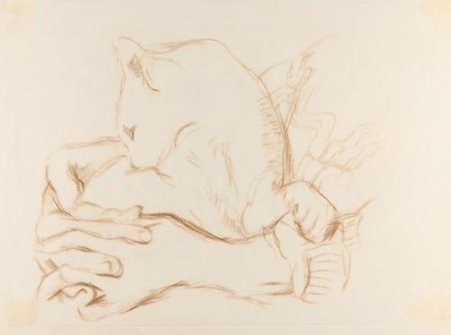 Alfred Wickenburg, Katze, 1933/1934, Braune Kreide auf Papier, Blattmaße: 28,1 × 38,6 cm, Leihg ...