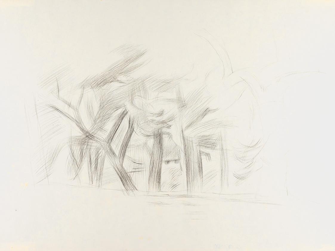 Alfred Wickenburg, Baumstudie, 1940/1945, Kohle auf Papier, Blattmaße: 35,1 × 46,8 cm, Leihgabe ...