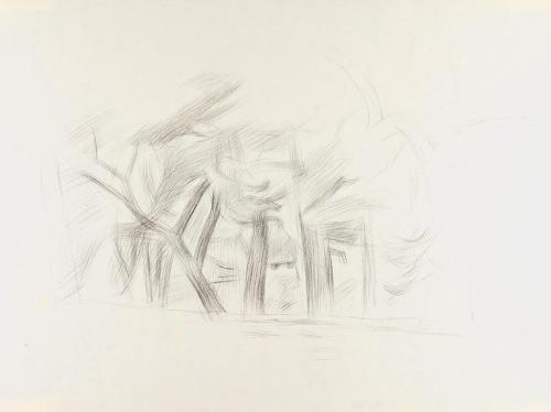 Alfred Wickenburg, Baumstudie, 1940/1945, Kohle auf Papier, Blattmaße: 35,1 × 46,8 cm, Leihgabe ...