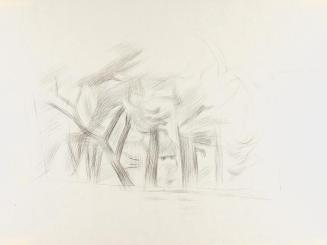 Alfred Wickenburg, Baumstudie, 1940/1945, Kohle auf Papier, Blattmaße: 35,1 × 46,8 cm, Leihgabe ...