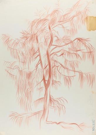 Alfred Wickenburg, Baum, 1938/1942, Rötel auf Papier, Blattmaße: 42 × 29,8 cm, Leihgabe aus Pri ...