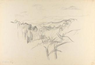 Alfred Wickenburg, Landschaftsstudie, 1920/1923, Graphit auf Papier, Blattmaße: etwa: 31,8 × 46 ...