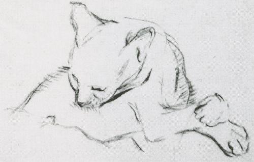 Alfred Wickenburg, Katze, 1933/1934, Braune Kreide auf Papier, 25,7 × 25 cm, Verbleib unbekannt