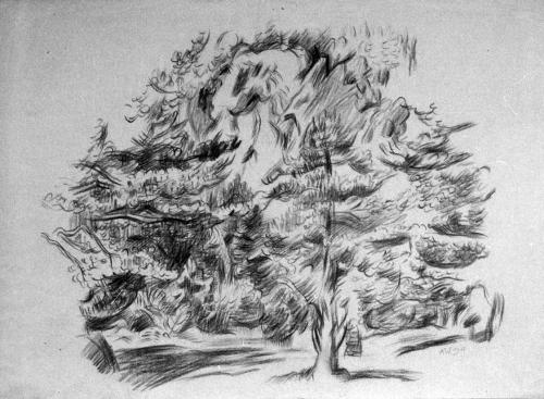 Alfred Wickenburg, Waldlandschaft, 1944, Rötel auf Papier, Blattmaße: 50,2 × 68,5 cm, Verbleib  ...