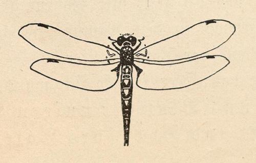 Koloman Moser, Illustration "Lob Gottes", 1899, Buchdruck, Blattmaße: 20 × 13 cm, Wien Museum,  ...