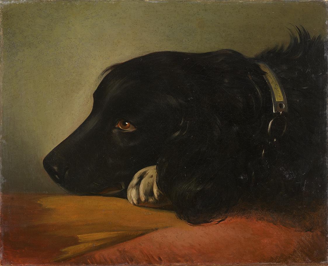 Friedrich von Amerling, Kopf eines schwarzen Hundes (Pluto), 1843, Öl auf Leinwand, 35 × 40 cm, ...