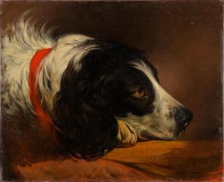 Friedrich von Amerling, Amerlings Hund Neptun im Profil, 1843, Öl auf Leinwand, 35 × 40 cm, Mor ...